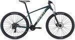 Xe đạp địa hình thể thao Giant Talon 29 3 2021